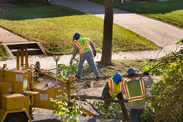 Best Landscape Design and Installation  in Long Beach, CA